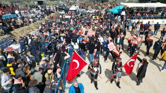 Köşk'te Deve Güreşi Festivali düzenlendi