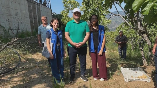 Köşk'te gönüllü hasat şenliği gerçekleştirildi