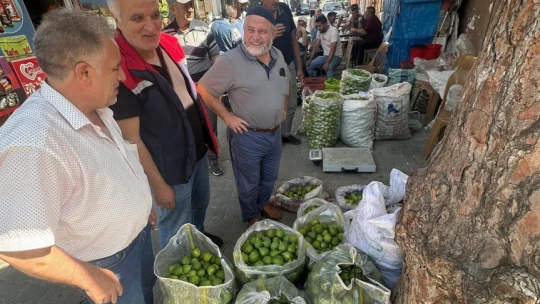 Köşk'te ilek pazarında denetim gerçekleştirildi
