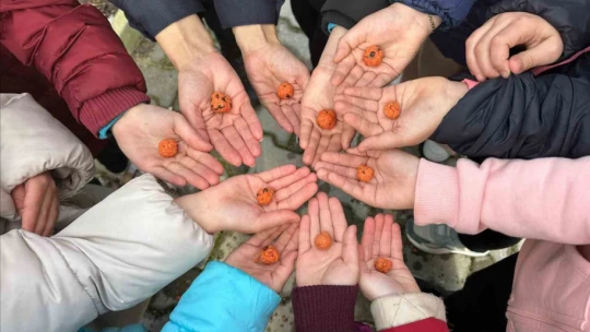 Köşk'te öğrencilere ağaç sevgisi aşılandı