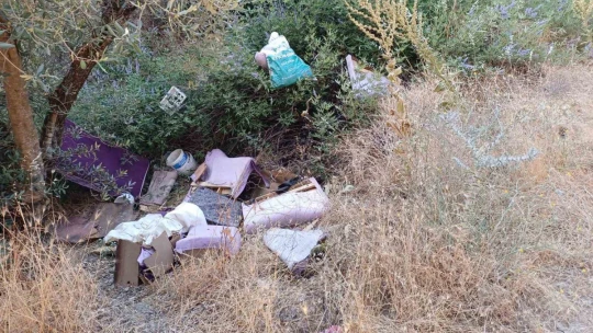 Köşk'teki zirai alan yangını büyümeden söndürüldü
