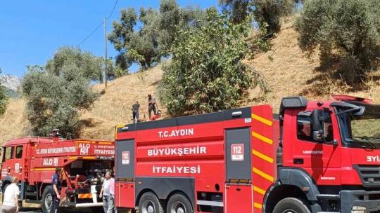 Köşk'teki zirai alan yangını kontrol altına alındı