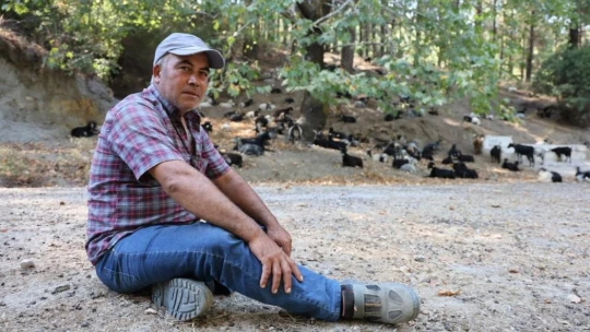 Koyun, keçi ve çobanların kıymeti bilinmedi, ülkenin en büyük sorunu yangınlar oldu