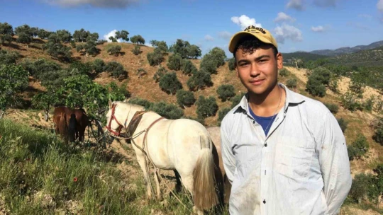 Köyünü terk etmeyen gençler günlük 3 bin liraya çalışıyor