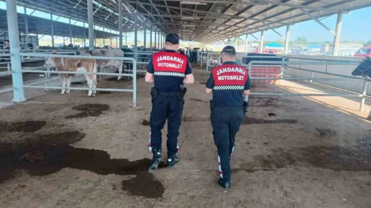 Kurban Bayramı öncesi jandarmadan vatandaşa dolandırıcılık uyarısı