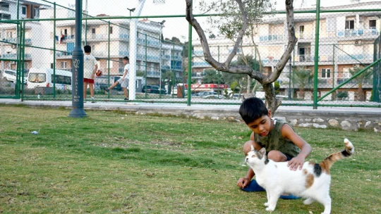 Kuşadası 5 yıl önceye göre 7 kat daha yeşil