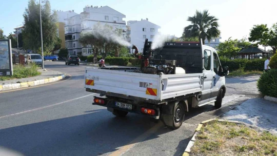 Kuşadası Belediyesi halk sağlığı için vektörel mücadelesini sürdürüyor