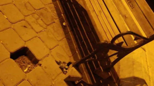 Kuşadası Belediyesi kamu malına zarar verenler hakkında şikayetçi oldu