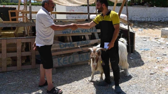 Kuşadası Belediyesi Kurban Bayramı'na hazır