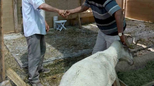 Kuşadası Belediyesi Kurban Bayramı'na hazır