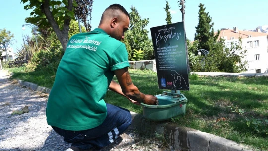 Kuşadası Belediyesi mevsim normalleri üzerinde seyrden sıcaklar nedeniyle sokak hayvanları için sulukların sayısını arttırdı