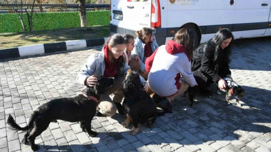 Kuşadası Evcil Hayvan Bakım ve Rehabilitasyon Merkezi, öğrencileri ağırladı