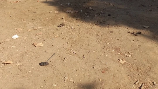Kuşadası Güzelçamlı Milli Parkı ilgiye muhtaç kaldı