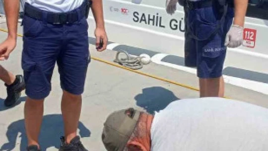 Kuşadası'nda 2 yeşil deniz kaplumbağası ölü bulundu