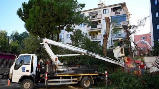 Kuşadası'nda ağaç atıkları ihtiyaç sahipleri için yakacağa dönüşüyor