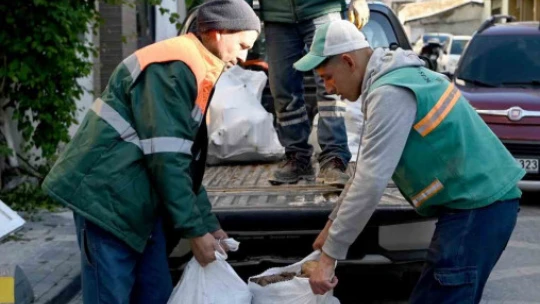 Kuşadası'nda ağaç atıkları ihtiyaç sahipleri için yakacağa dönüşüyor