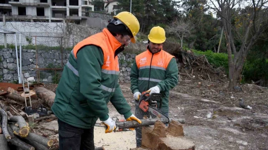 Kuşadası'nda ağaç atıkları yakıta dönüşüyor