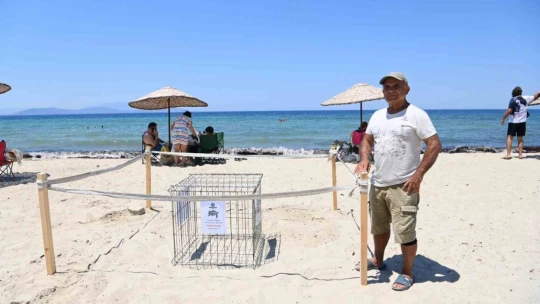 Kuşadası'nda caretta caretta yumurtaları zarar görmemesi için taşındı