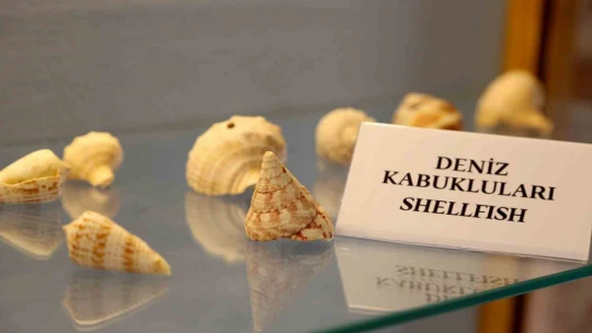 Kuşadası'nda Deniz Ticaret Tarihi Müzesi'ne yoğun ilgi
