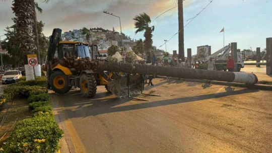 Kuşadası'nda devrilen ağaç ekiplerin müdahalesiyle kaldırıldı