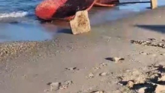 Kuşadası'nda halk plajlarındaki şemsiyeler tahrip edildi