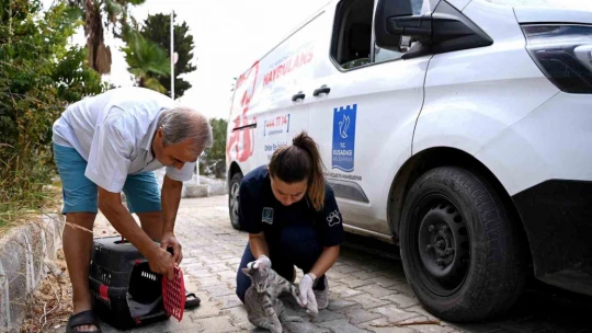 Kuşadası'nda Haybulans 16 bin 614 can dostun yardımına koştu