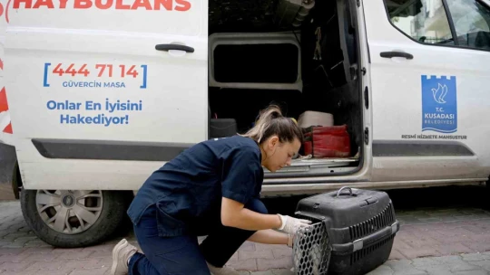 Kuşadası'nda Haybulans 16 bin 614 can dostun yardımına koştu