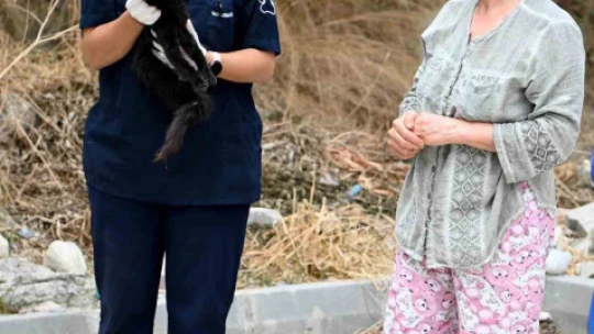 Kuşadası'nda Haybulans 16 bin 614 can dostun yardımına koştu