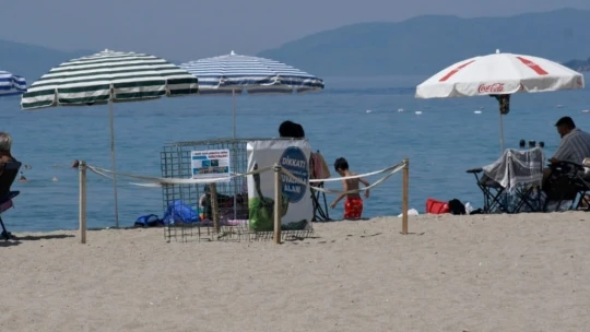 Kuşadası'nda ilk caretta caretta yuvası belirlendi