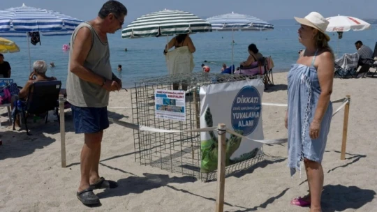 Kuşadası'nda ilk caretta caretta yuvası belirlendi