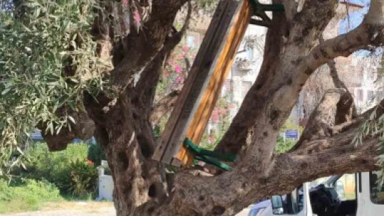 Kuşadası'nda kamusal alanları tahrip eden şahıslar cezasız kalmadı