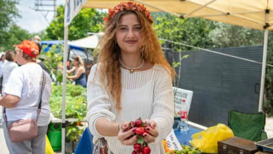 Kuşadası'nda kiraz şenliği coşkusu