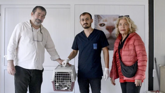 Kuşadası'nda minik patili can dostların sağlığı emin ellerde