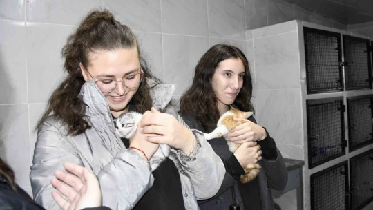 Kuşadası'nda öğrenciler can dostları besledi