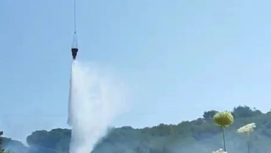 Kuşadası'nda orman yangını