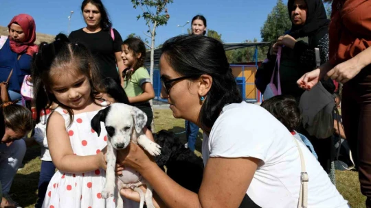 Kuşadası'nda patili can dostlar artık hafta sonları da ziyaret edilebilecek