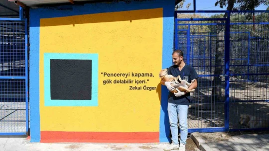Kuşadası'nda patili can dostlar artık hafta sonları da ziyaret edilebilecek