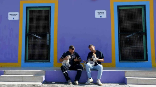 Kuşadası'nda patili can dostlar artık hafta sonları da ziyaret edilebilecek