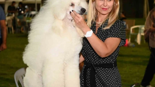 Kuşadası'nda renkli köpek şöleni: 'International Dog Show' sona erdi