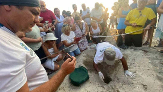 Kuşadası'nda yumurtadan çıkan son yavru caretta da özgürlüğe kulaç attı