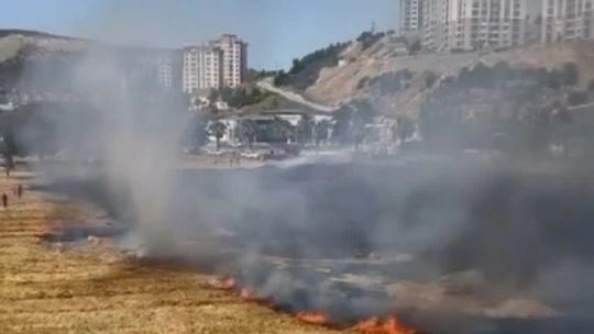 Kuşadası'ndaki kuru ot yangını itfaiyenin hızlı müdahalesiyle söndürüldü