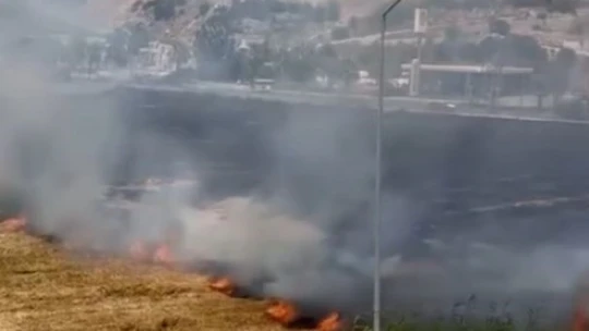 Kuşadası'ndaki kuru ot yangını itfaiyenin hızlı müdahalesiyle söndürüldü