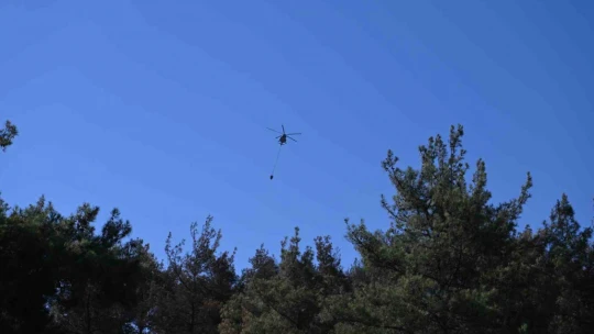 Kuşadası'ndaki orman yangını büyük ölçüde kontrol altına alındı