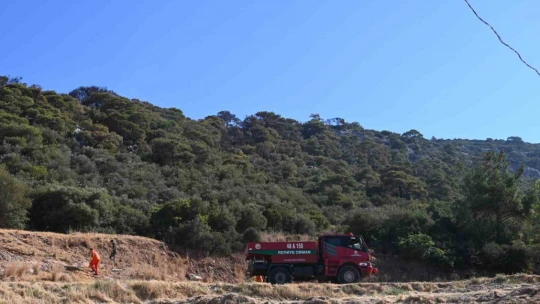 Kuşadası'ndaki orman yangını büyük ölçüde kontrol altına alındı
