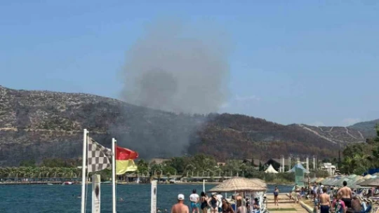 Kuşadası'ndaki orman yangını büyümeden söndürüldü