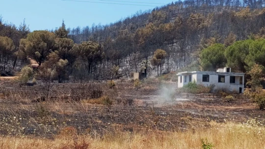 Kuşadası'ndaki orman yangınında antik su kemeri zarar gördü