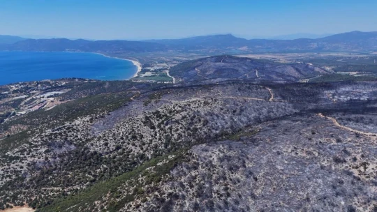 Kuşadası'ndaki orman yangınında antik su kemeri zarar gördü