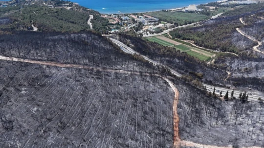 Kuşadası'ndaki orman yangınında antik su kemeri zarar gördü