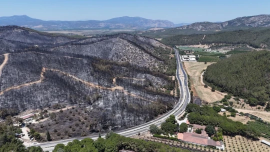 Kuşadası'ndaki orman yangınında antik su kemeri zarar gördü