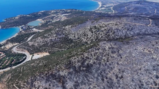 Kuşadası'ndaki orman yangınında antik su kemeri zarar gördü